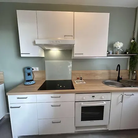 Apartment En Bord De Avec Parking Prive A - Fr-1-224c-342