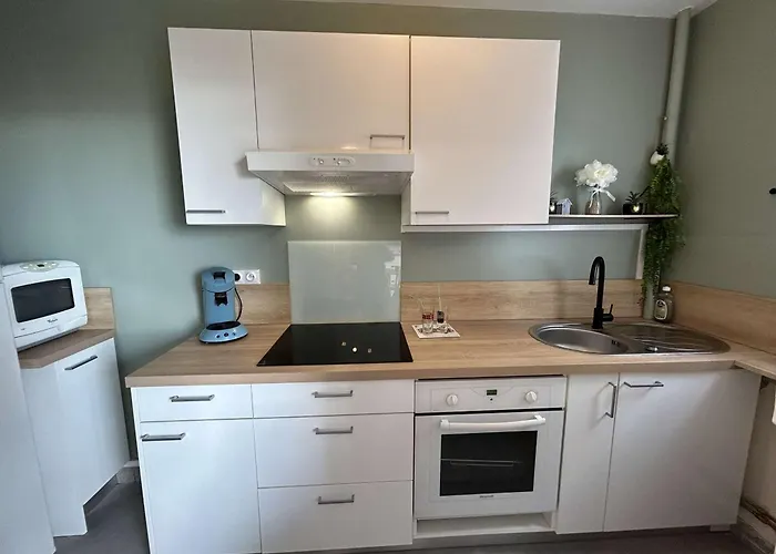 Bord De Avec Balcon Et Parking A - Fr-1-224c-342 생장드몽